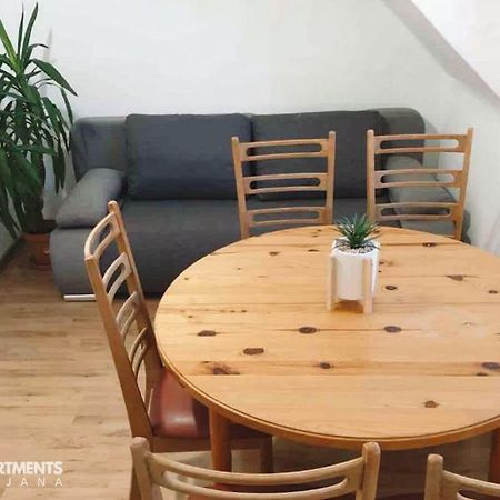 Huge Bbq Garden 2, Spacious Flat, Ac, Free Parking 2 Любляна Екстер'єр фото