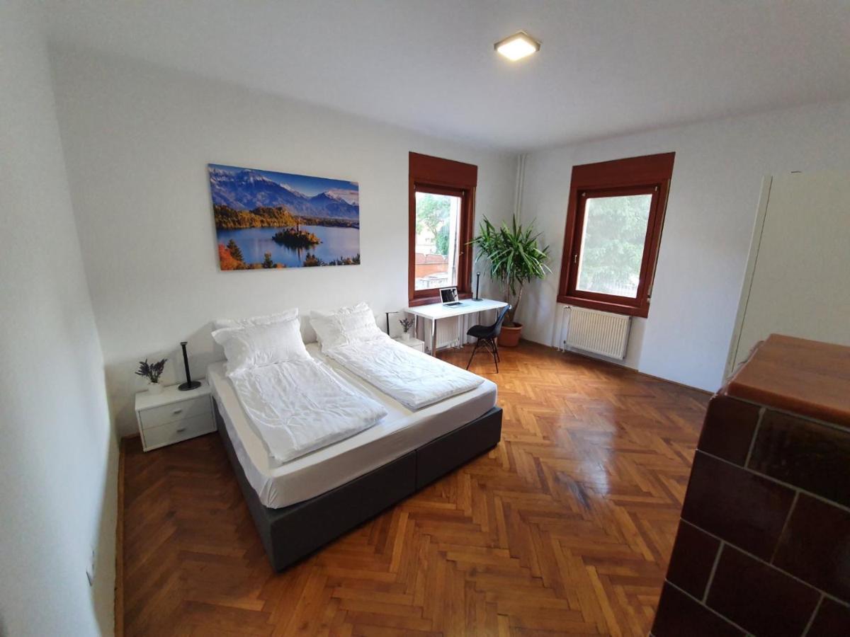 Huge Bbq Garden 2, Spacious Flat, Ac, Free Parking 2 Любляна Екстер'єр фото