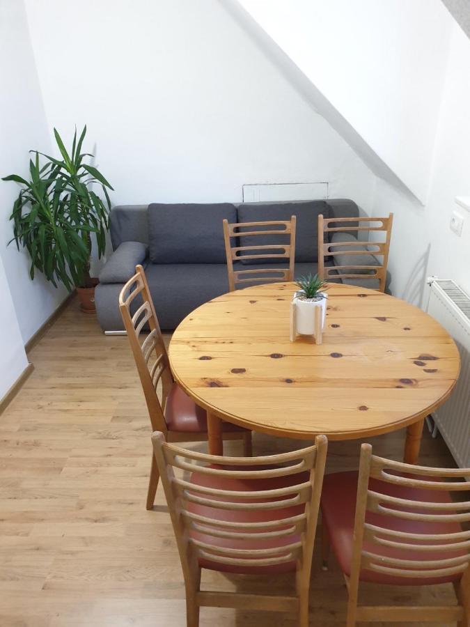 Huge Bbq Garden 2, Spacious Flat, Ac, Free Parking 2 Любляна Екстер'єр фото