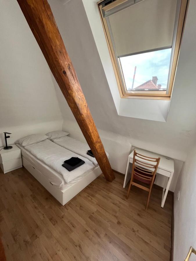 Huge Bbq Garden 2, Spacious Flat, Ac, Free Parking 2 Любляна Екстер'єр фото