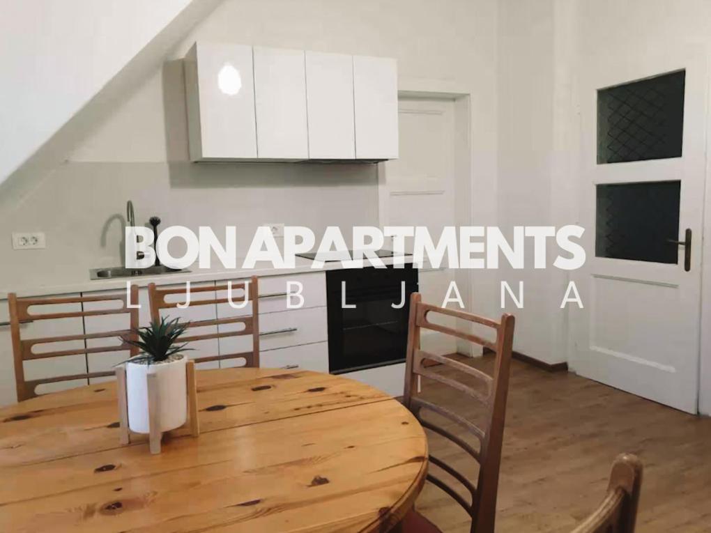Huge Bbq Garden 2, Spacious Flat, Ac, Free Parking 2 Любляна Екстер'єр фото