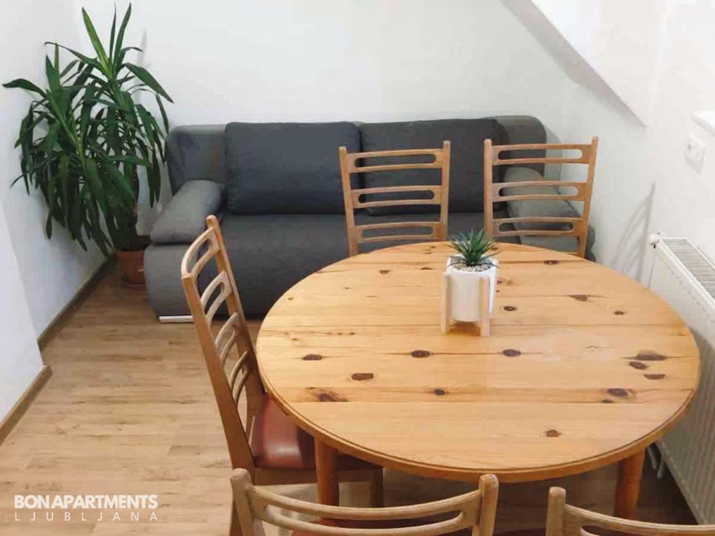 Huge Bbq Garden 2, Spacious Flat, Ac, Free Parking 2 Любляна Екстер'єр фото